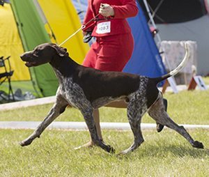 Litter E - Exito Bueno UPE