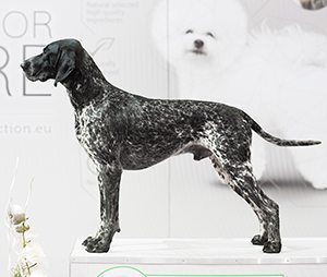 Callidus Invictum UPE