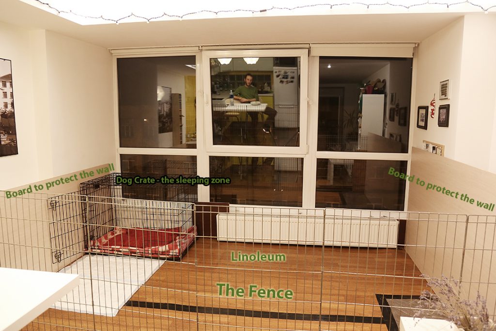 dog kennel inside house